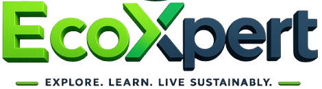 ecoxpert.in