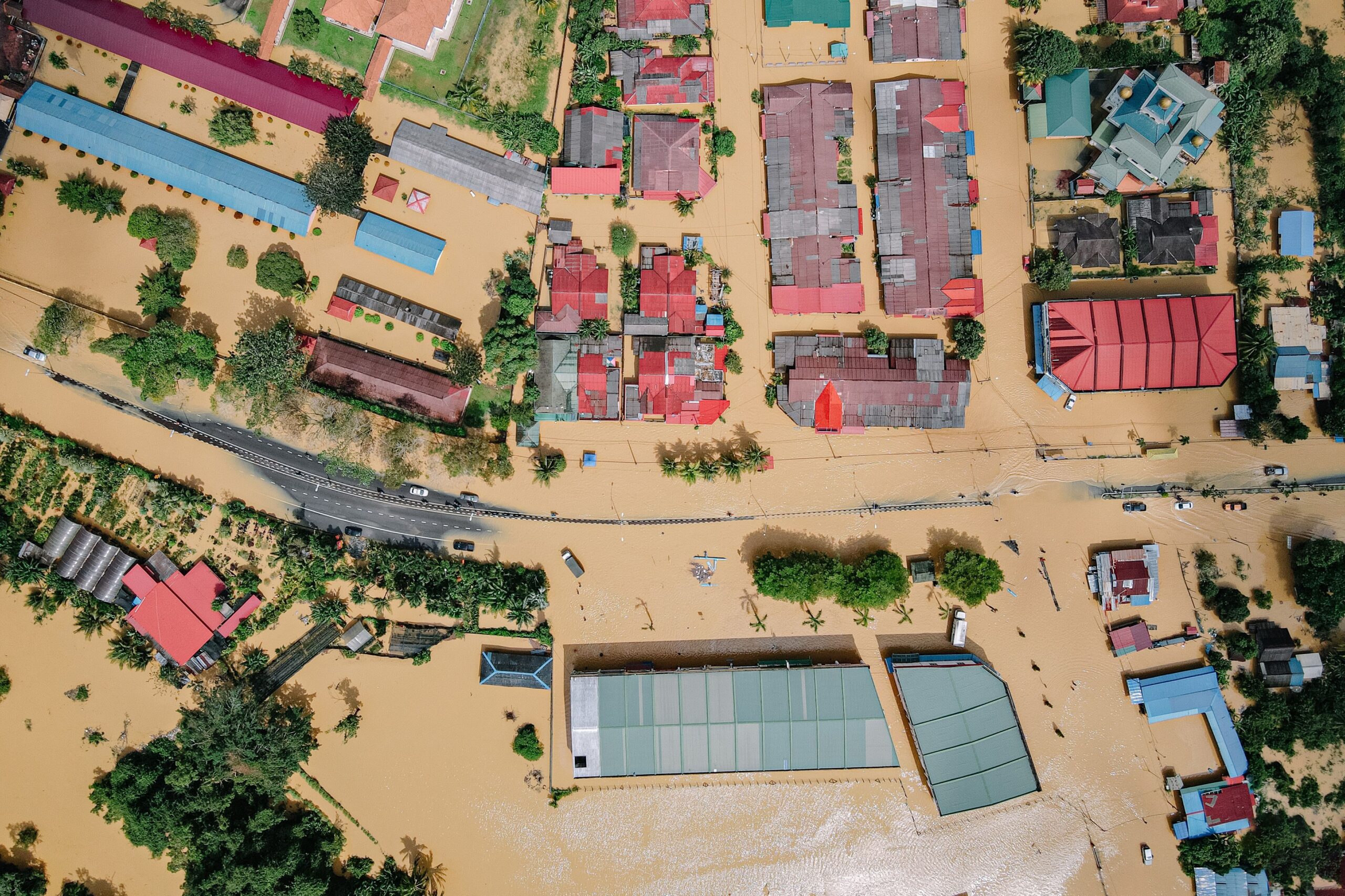 Climate Disasters Are Forcing Millions From Their Homes